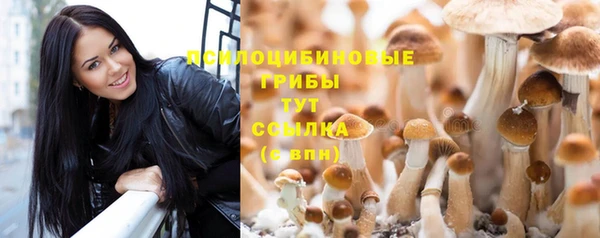 тгк Новодвинск
