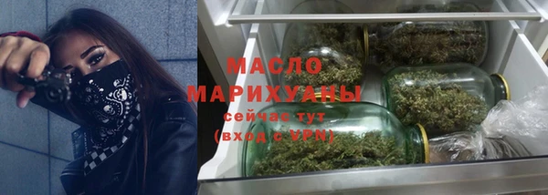 гидропоника Горняк