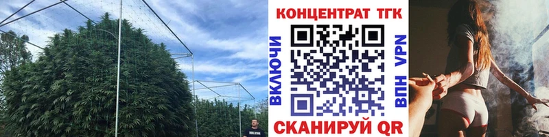 сколько стоит  Павловск  ТГК концентрат 
