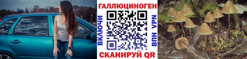 Псилоцибиновые грибы мухоморы  Павловск 